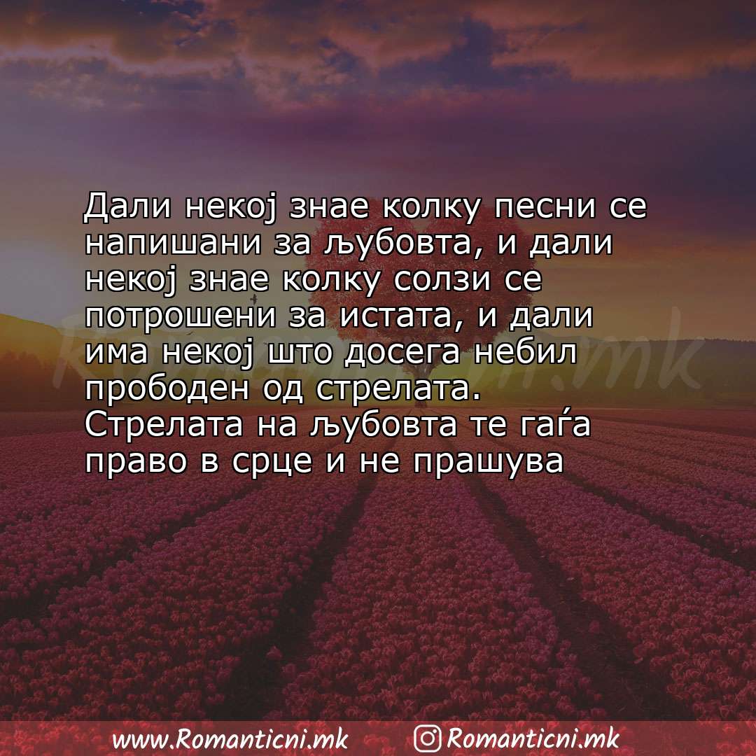 Ljubovna sms poraka: Дали некој знае колку песни се напишани за љубовта, и дали некој знае колку солзи се потрошени за истата, и 